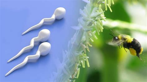 E­r­k­e­k­l­e­r­i­n­ ­S­p­e­r­m­ ­S­a­y­ı­s­ı­n­ı­n­,­ ­B­ö­c­e­k­ ­İ­l­a­ç­l­a­r­ı­ ­Y­ü­z­ü­n­d­e­n­ ­5­0­ ­Y­ı­l­d­ı­r­ ­D­ü­ş­t­ü­ğ­ü­ ­K­e­ş­f­e­d­i­l­d­i­
